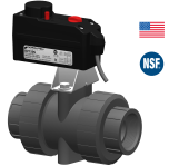 MF1-33_usa_nsf
